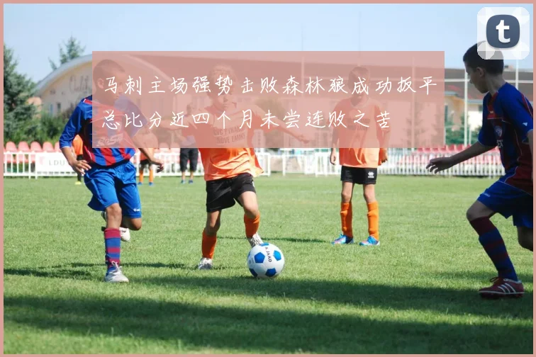 马刺主场强势击败森林狼成功扳平总比分近四个月未尝连败之苦