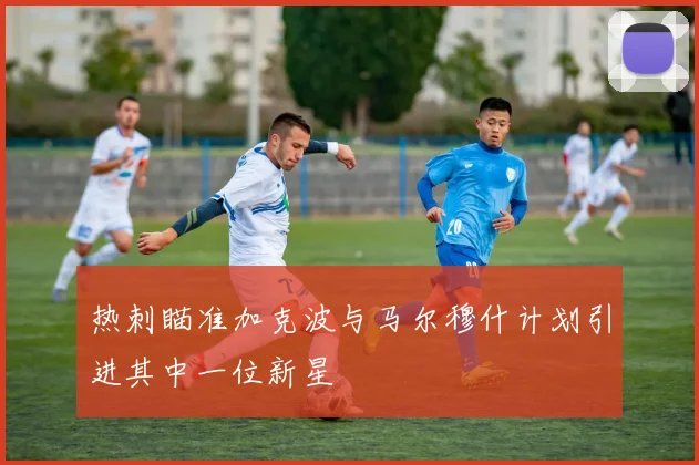 热刺瞄准加克波与马尔穆什计划引进其中一位新星